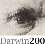 darwin200